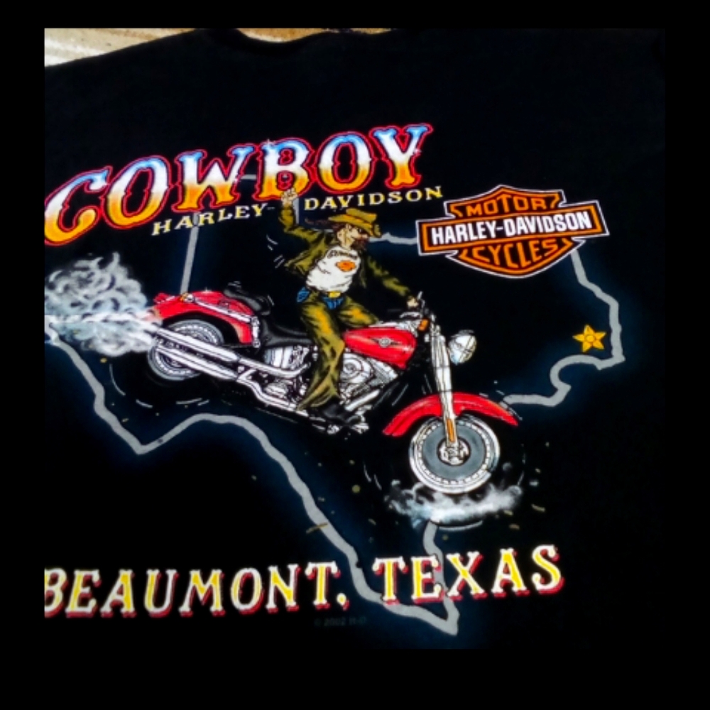 HARLEY DAVIDSON BEAUMONT TEXAS
